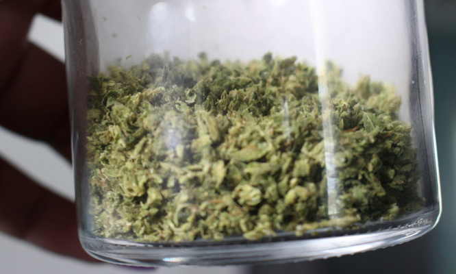 What Makes THC Odorless and Which Products Deliver the Cleanest Experience