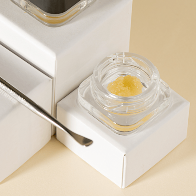 Complete Guide to Zkittlez Strain Effects from Mind to Body