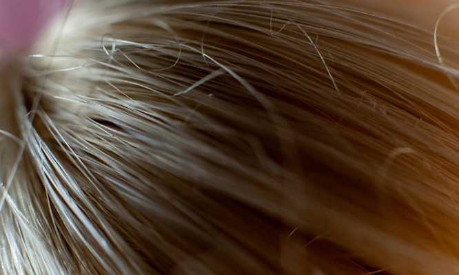 Hair Follicle THC Test False Positives from CBD Products and Secondhand Exposure