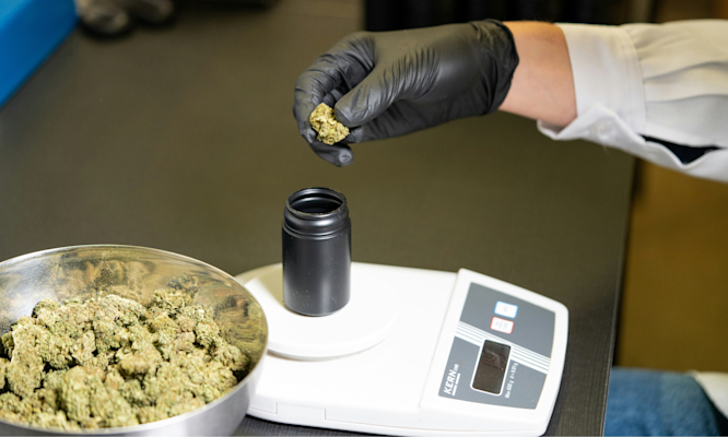 Cannabis Extraction Method Comparison with Equipment Pricing Tables