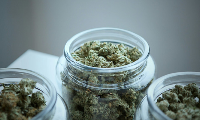 How Many Grams Is a Zip of Weed? Quick Answer Plus Full Weight Chart