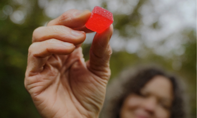 Are Weed Edibles Legal? What You Need to Know