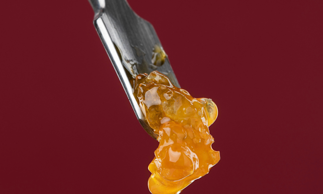 What Is Live Rosin and Why Does It Cost More Than Other Concentrates