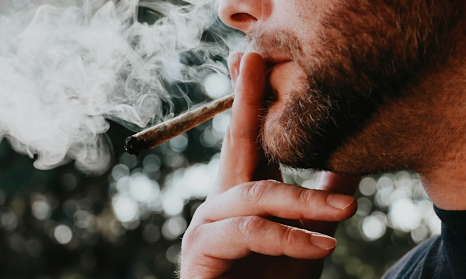 Why Can't I Get High Anymore? Understanding Tolerance and Your Body's Response