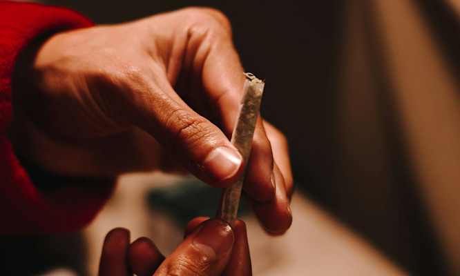 The Complete Guide to Choosing Cannabis Using Terpene Profiles