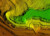 Next-generation OEM solution for mobile mapping applications using GNSS-inertial technology