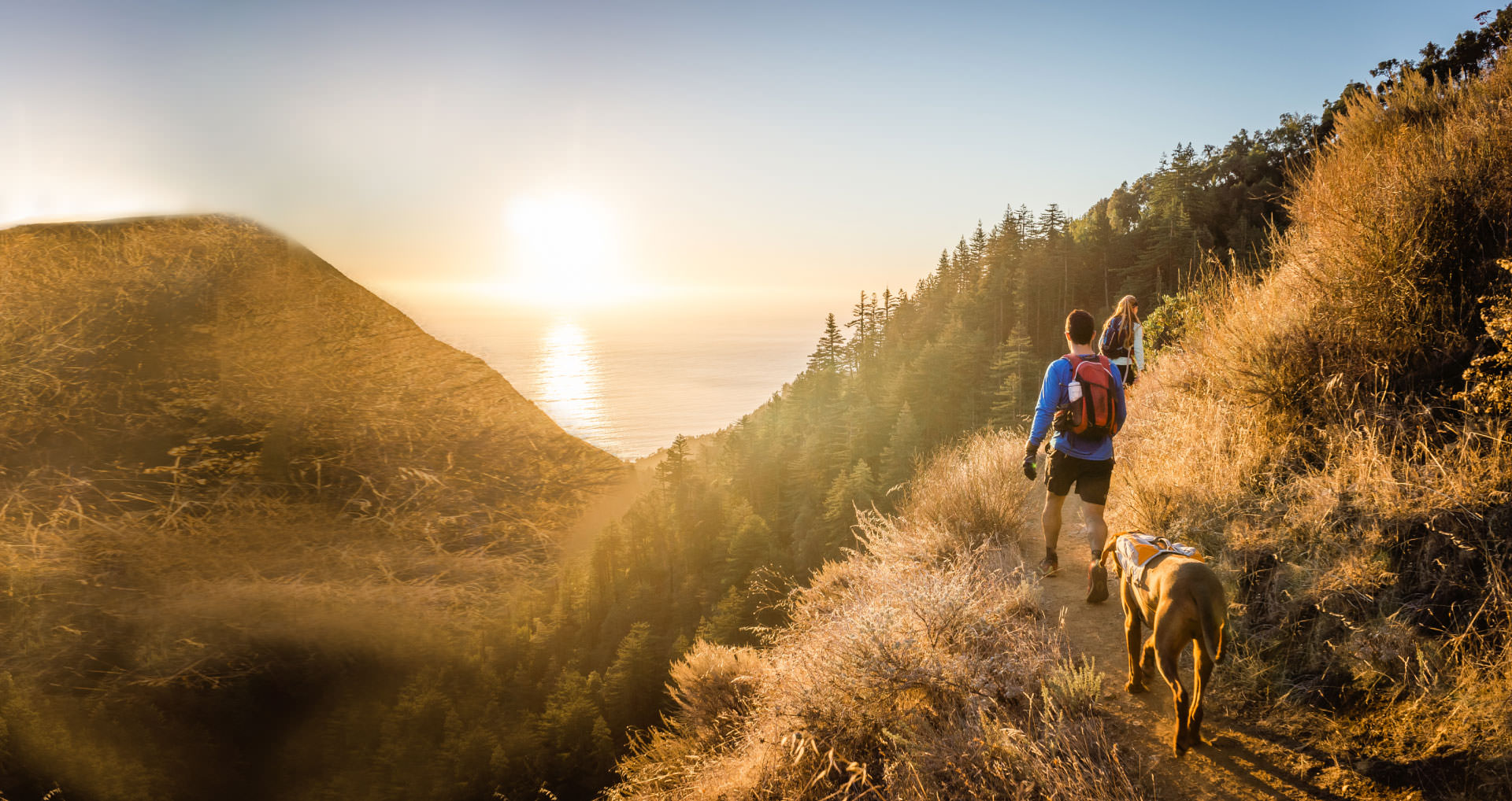 couple hiking with their dog i-screen