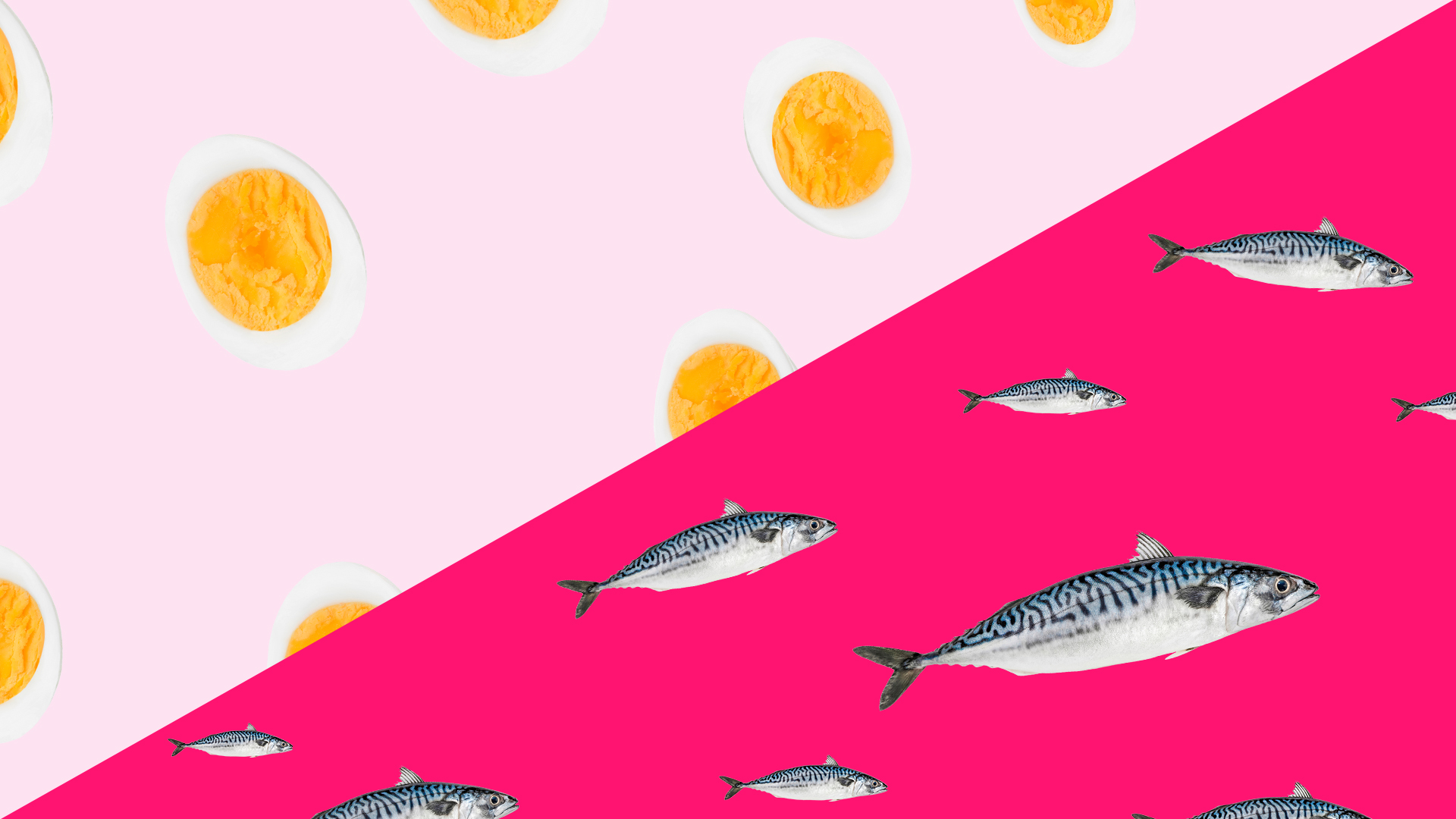 Welke voeding bevordert de spermakwaliteit? Eieren of vette vis? &C x Voedingscentrum