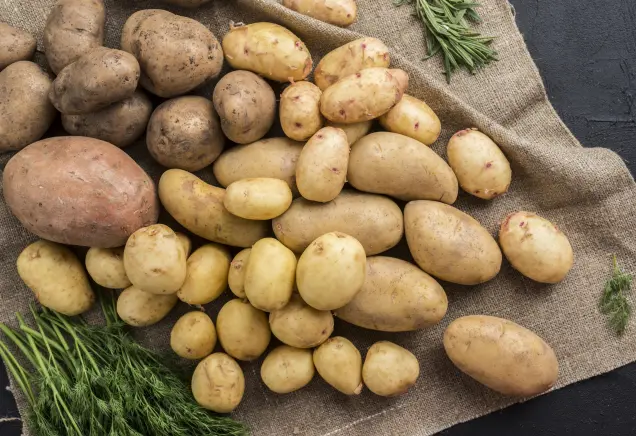 Erfahre warum Kartoffeln mit Schale essen gesund ist. Verbessere deine Ernährung, entdecke diese Geheimnisse und fange heute noch an. Lies weiter!