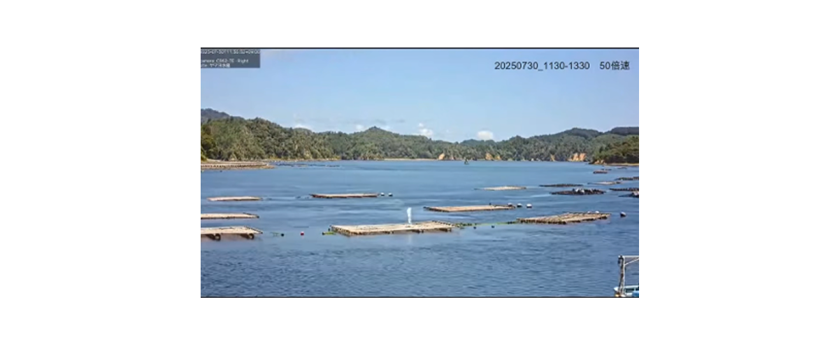 気仙沼市様:カメラ映像