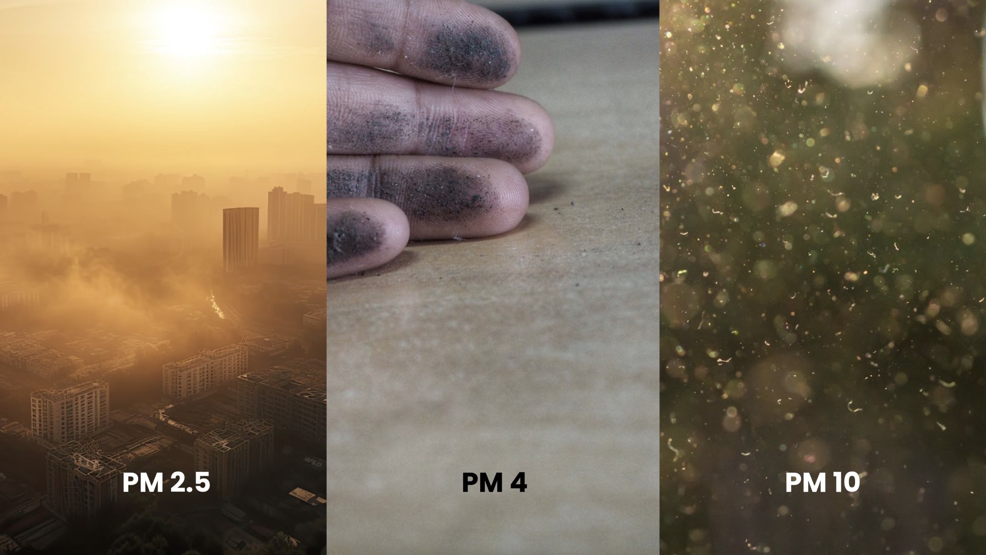 An image showing the difference between PM 4 and PM 10. 