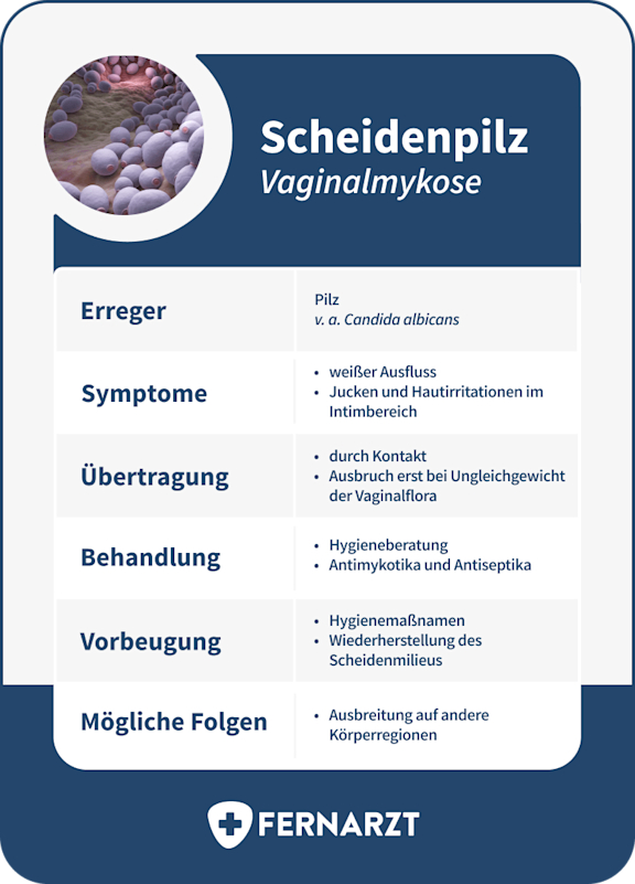 bildliche Darstellung