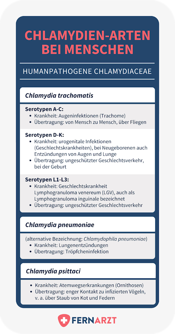 bildliche Darstellung