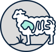 bildliche Darstellung