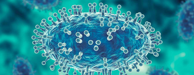 Darstellung eines Affenpocken-Virus bzw. Monkeypox virus (MPXV).