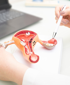 Telemedizin & Gynäkologie – Wie passt das zusammen?