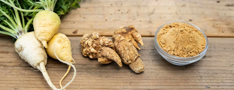 Maca in verschiedenen Formen: frische Maca-Wurzel, getrocknete Maca-Wurzel und Maca-Pulver.