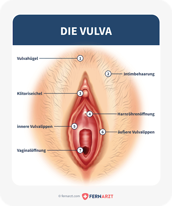 bildliche Darstellung