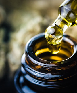Cannabis in der Schmerztherapie