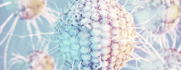 Grafische Darstellung eines Herpesvirus.