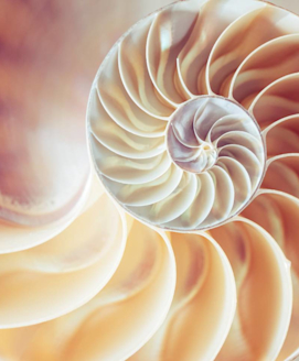 Hormonfreie und natürliche Verhütung – Wie gut kann das funktionieren?