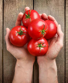 Tomatengrippe – Was ist das?