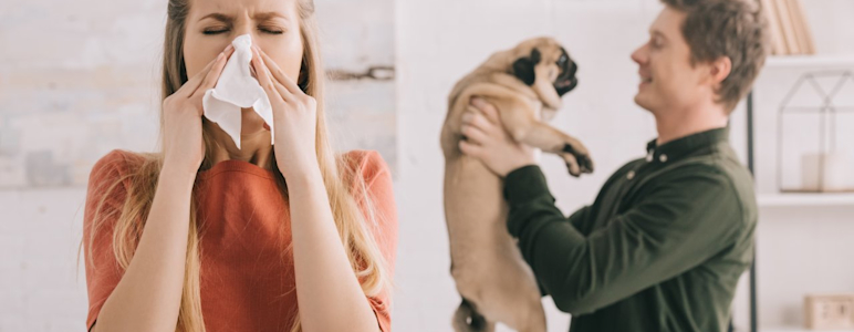 Frau schnäuzt sich in ein Taschentuch, im Hintergrund hält ein Mann einen Mops hoch.