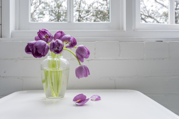 Tulpen in Vase verwelken vor weißem Hintergrund.