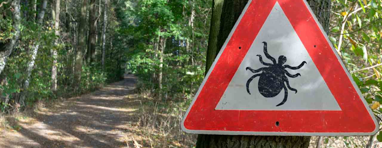 Ein Schild warnt vor Zecken im Wald. Zecken können verschiedene Krankheiten wie beispielsweise Borreliose Übertragen.