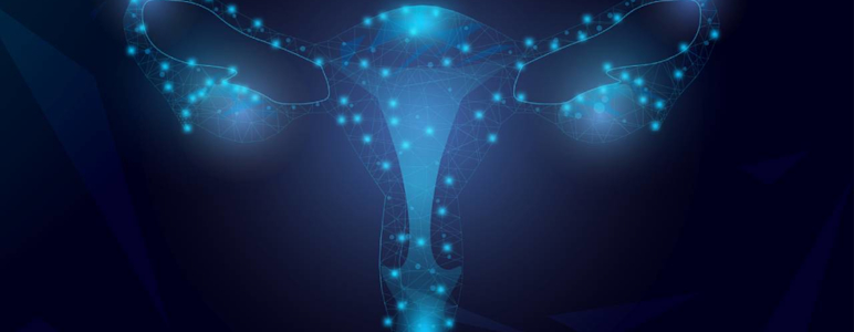 Grafische Darstellung von Gebärmutter (Uterus) und Eileiter (Ovarien).