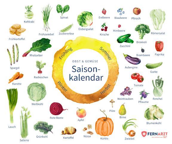 Der Fernarzt-Saisonkalender zeigt, zu welcher Jahreszeit welchen Obst und Gemüse regional verfügbar ist.