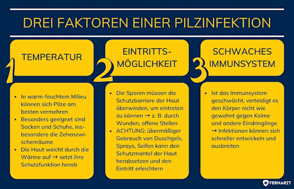 Drei Faktoren einer Pilzinfektion