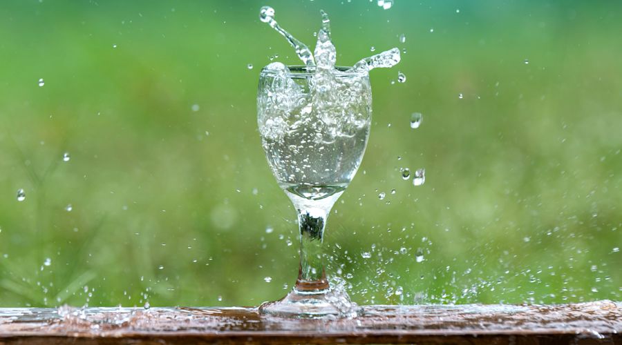 PluriH2O