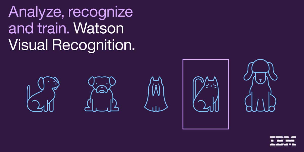 visual-recognition-ibm-watson