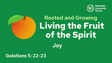 Living the Fruit of the Spirit 3 - 'Joy'