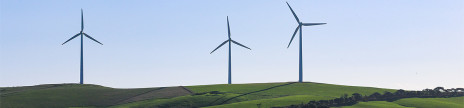 Prognos och tillväxt: Därför är vindkraft framtidens energikälla