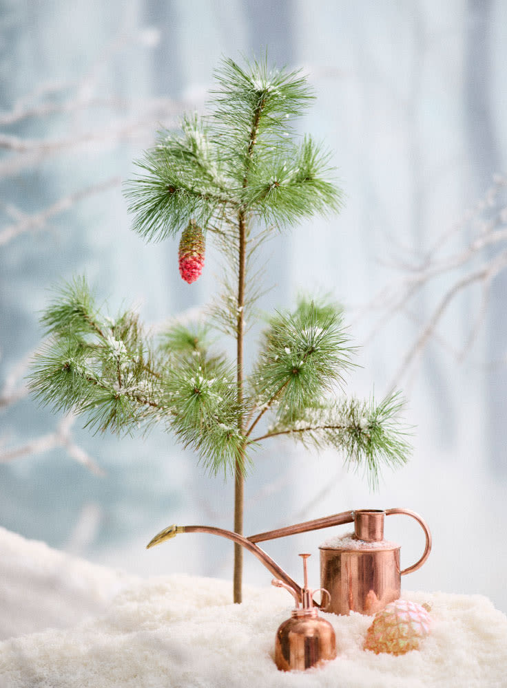 gifts for green thumbs