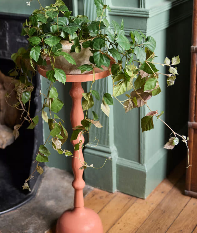 Plant Stands