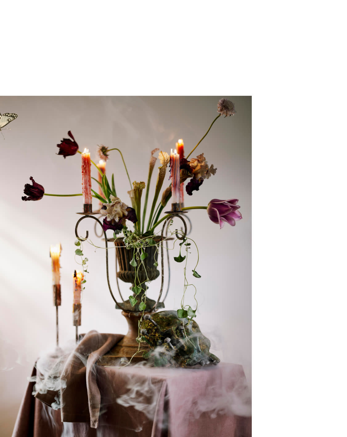 shop supernatural planters