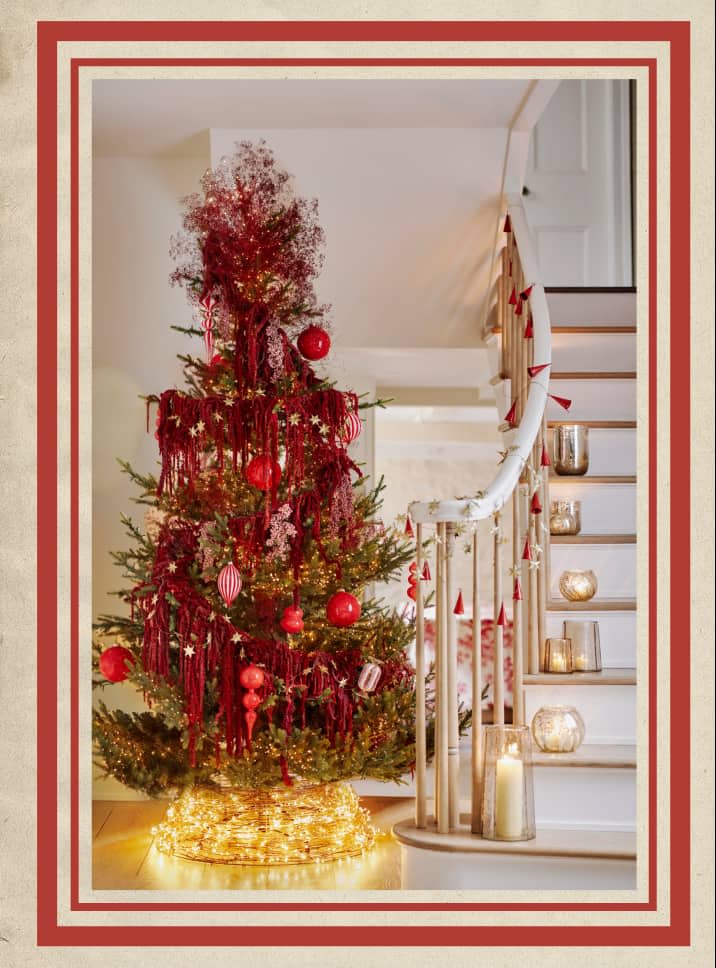 christmas-trees