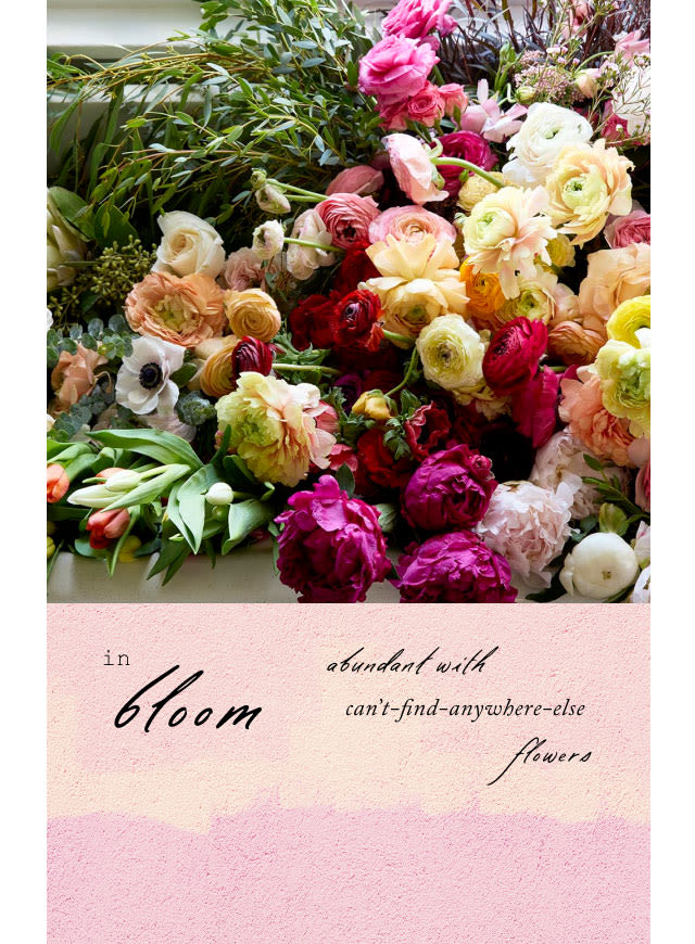 shop fresh bouquets + bunches