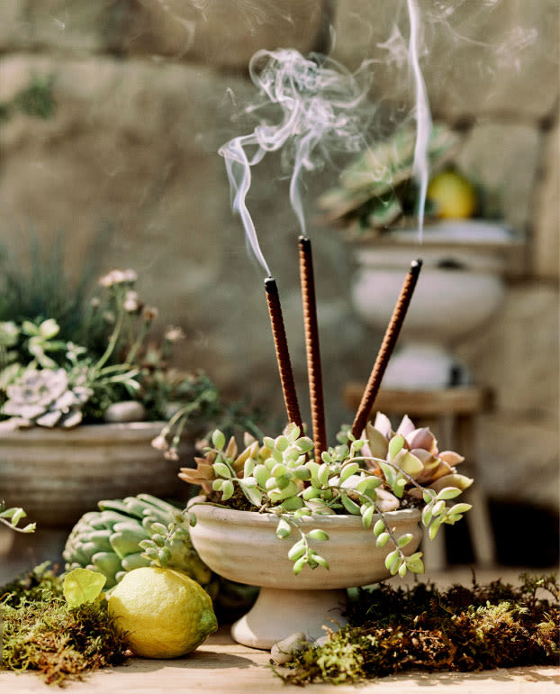Citronella Garden Sticks