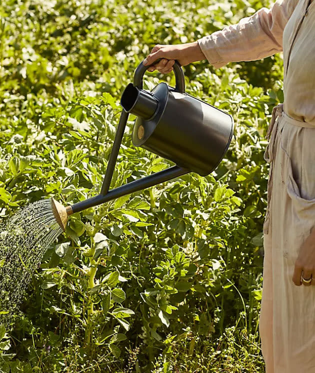 Watering