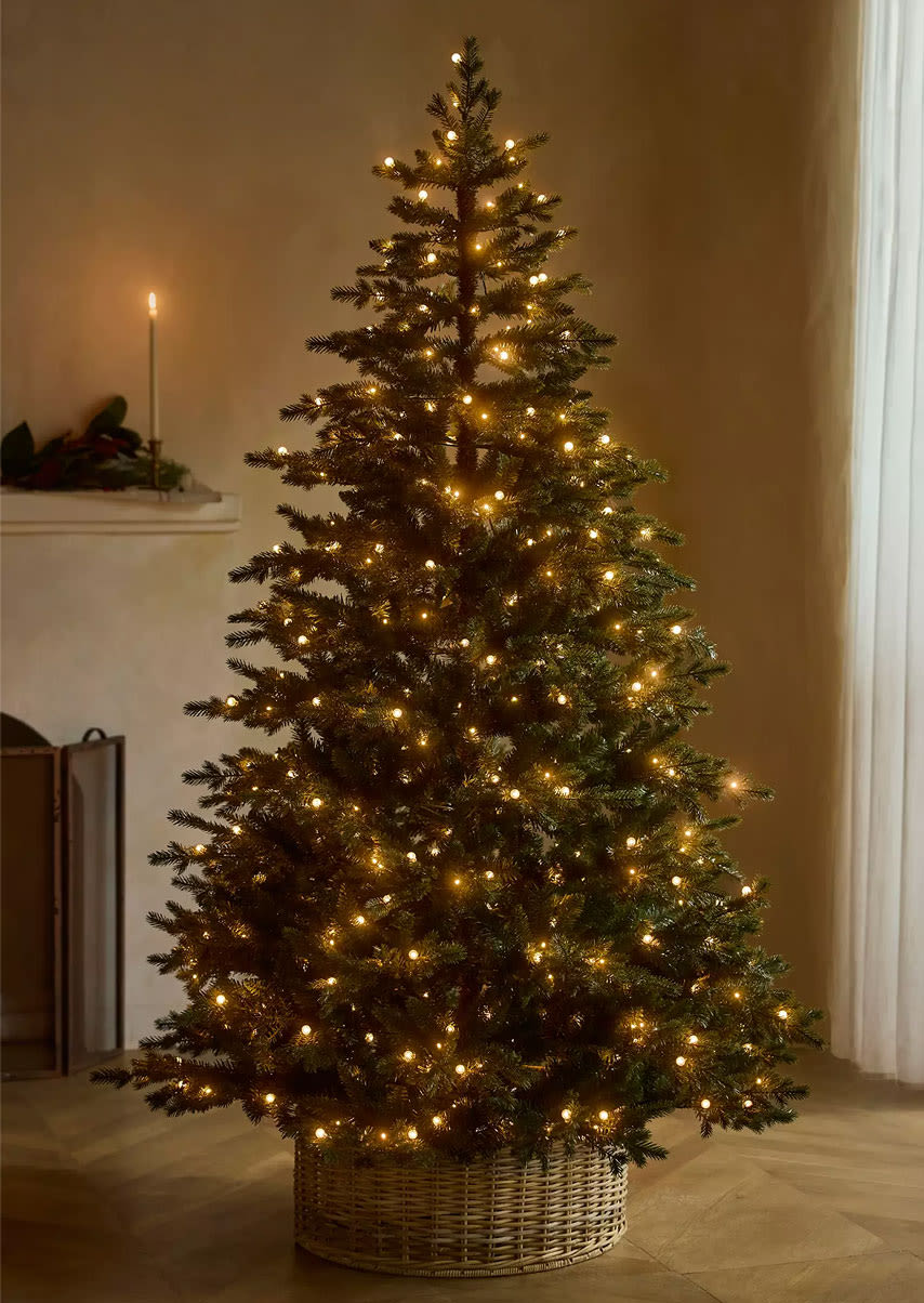 Crystal Berry Spruce