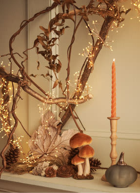 Stargazer Lighting