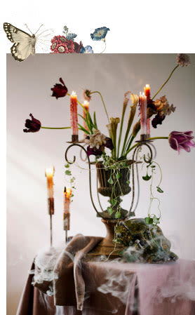 shop supernatural planters