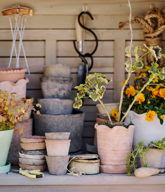 Spring Gardening
