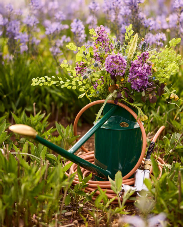Watering