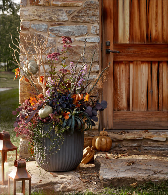 Plant Fall Container