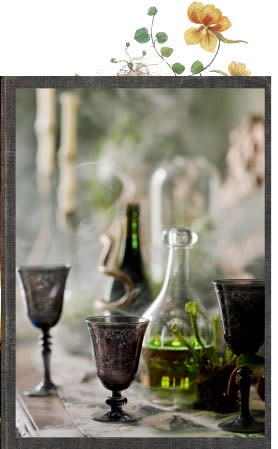 shop drinkware